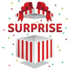 Ladies mystery resellers dress bundle